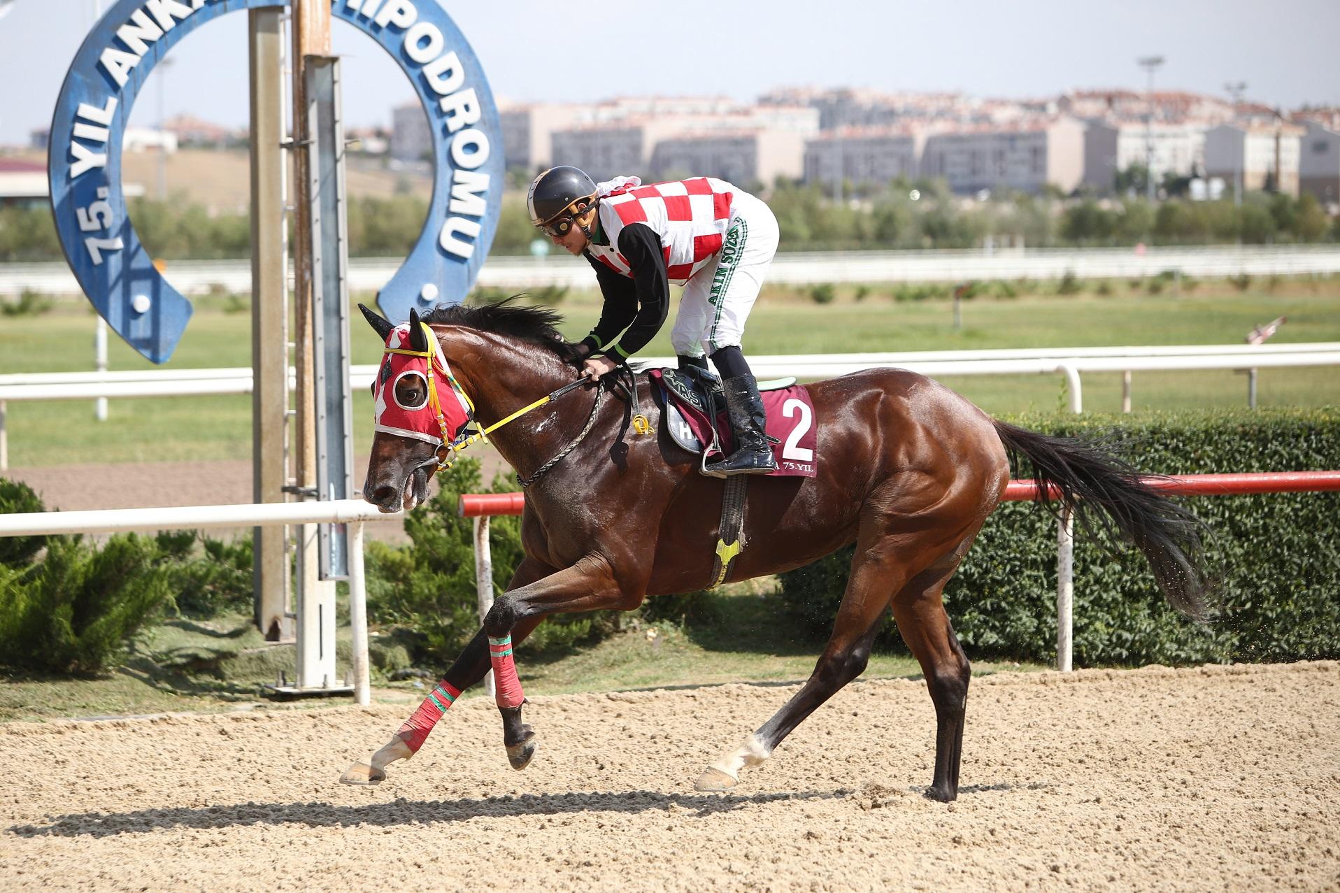 ANKARA TAHMİNLERİM - 24 TEMMUZ