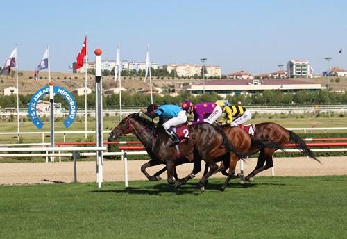 ANKARA TAHMİNLERİM - 30 EKİM