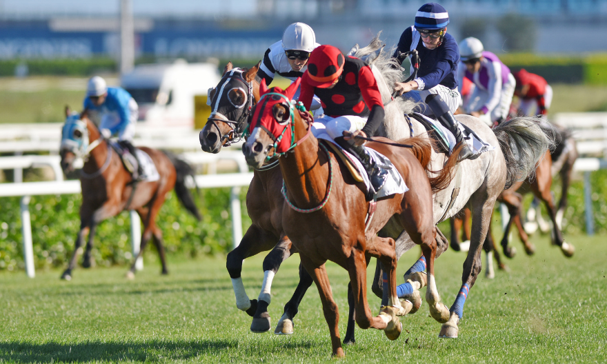 İSTANBUL TAHMİNLERİM - 3 EKİM