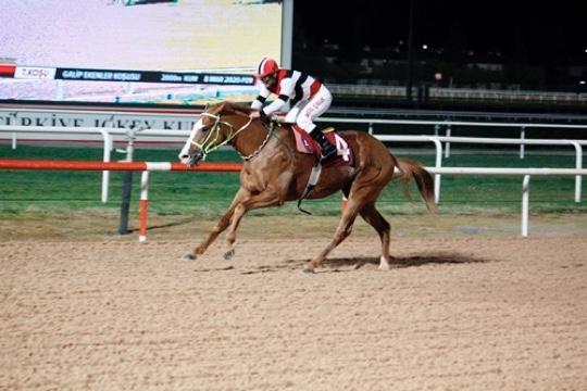 ADANA TAHMİNLERİM - 19 EKİM