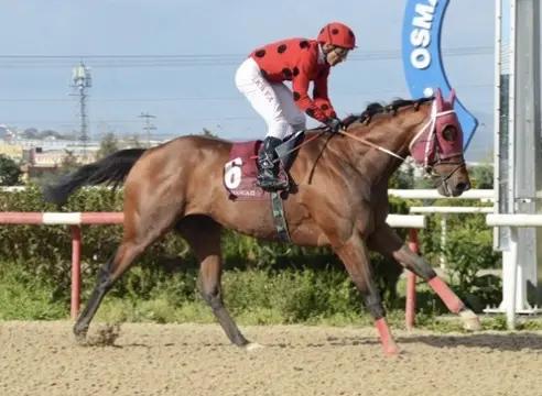 BURSA TAHMİNLERİM - 17 KASIM