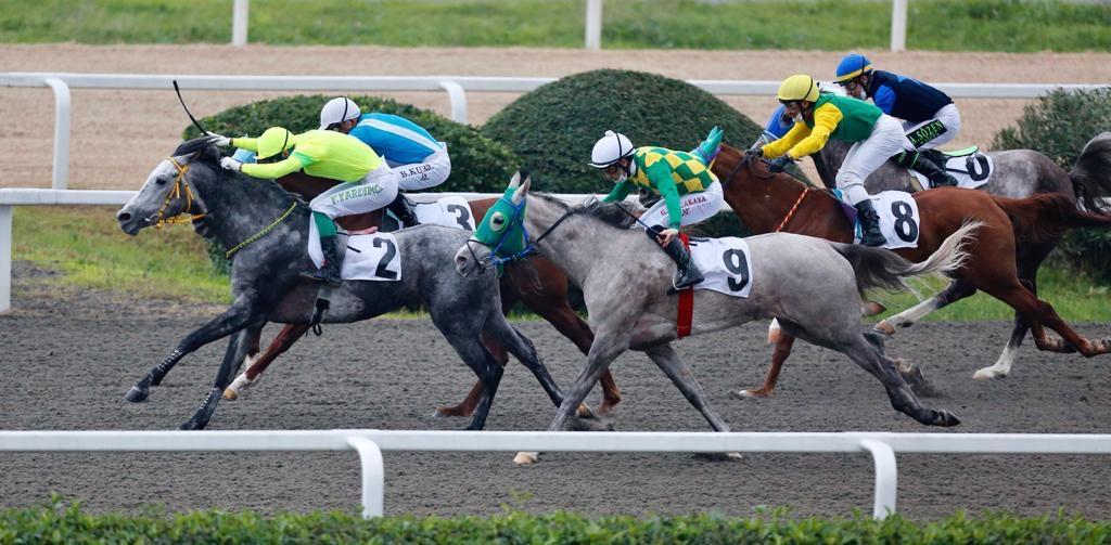 İSTANBUL TAHMİNLERİM - 7 KASIM