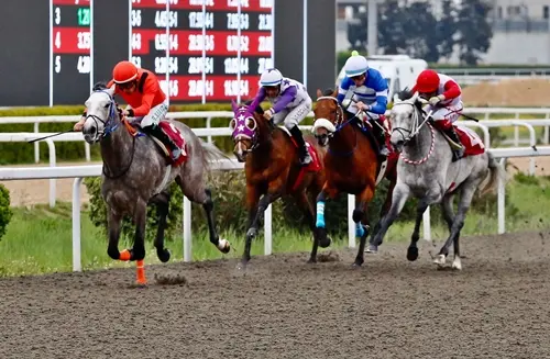 İSTANBUL TAHMİNLERİM - 22 KASIM