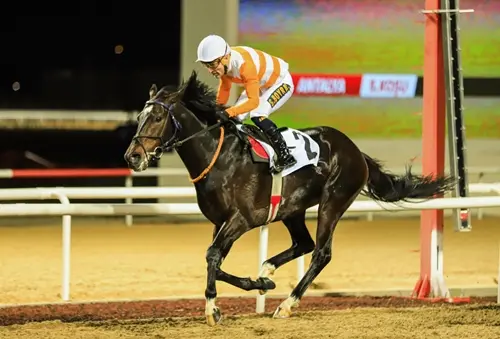 ANTALYA TAHMİNLERİM - 11 ARALIK