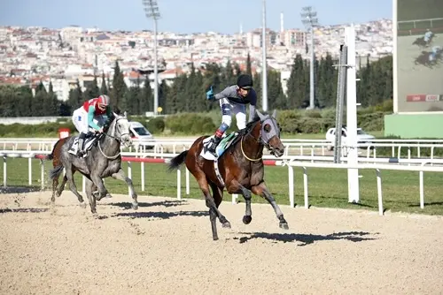 İZMİR TAHMİNLERİM - 4 ARALIK