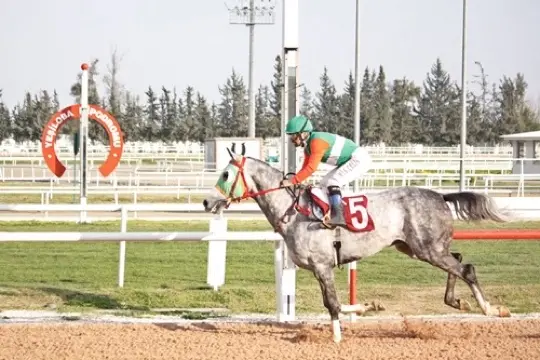 ADANA TAHMİNLERİM - 23 ARALIK