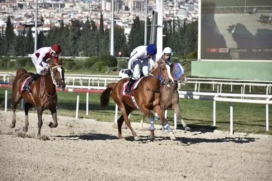 İZMİR TAHMİNLERİM - 21 ARALIK