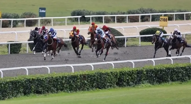 İSTANBUL TAHMİNLERİM - 20 ARALIK