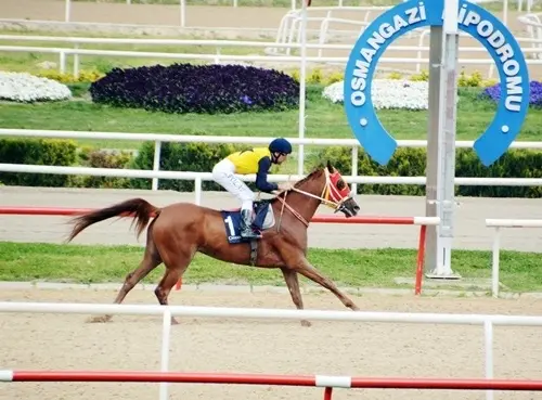 BURSA TAHMİNLERİM - 19 ARALIK