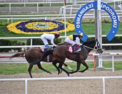 BURSA TAHMİNLERİM - 22 ARALIK