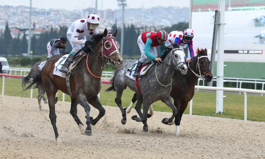 İZMİR TAHMİNLERİM - 19 ARALIK