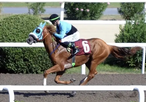 İSTANBUL TAHMİNLERİM - 6 ARALIK