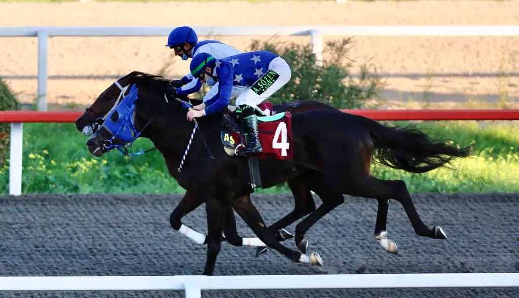 İSTANBUL TAHMİNLERİM - 24 ARALIK