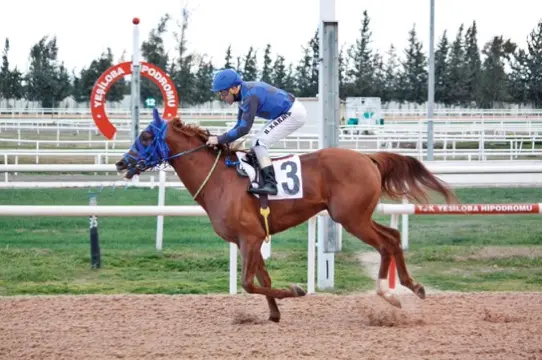 ADANA TAHMİNLERİM - 20 ARALIK