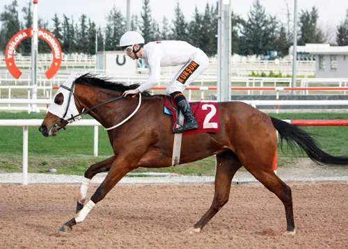 ADANA TAHMİNLERİM - 21 ARALIK