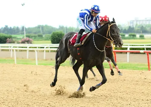 BURSA TAHMİNLERİM - 5 ARALIK