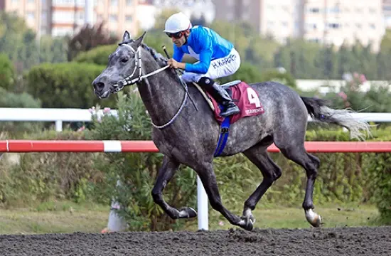 İSTANBUL TAHMİNLERİM - 31 OCAK