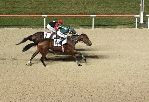 İZMİR TAHMİNLERİM - 30 OCAK