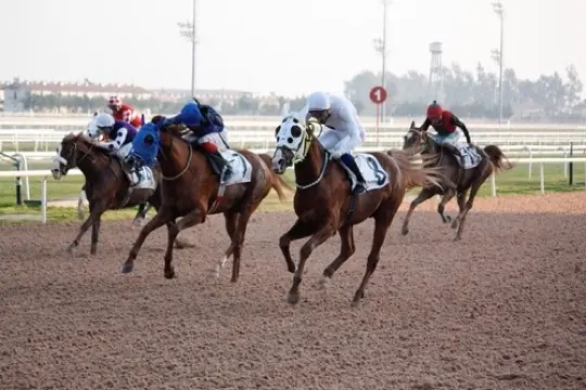 ADANA TAHMİNLERİM - 11 OCAK