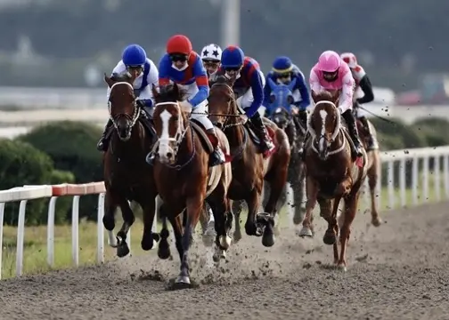 GÜZEL PROGRAM - 28 MART İSTANBUL