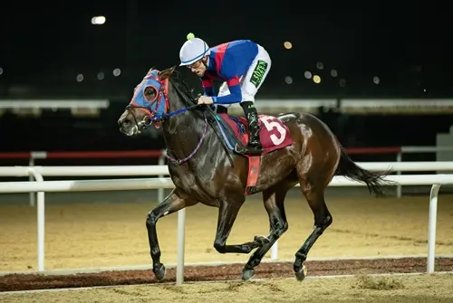 ANTALYA TAHMİNLERİM - 17 MART