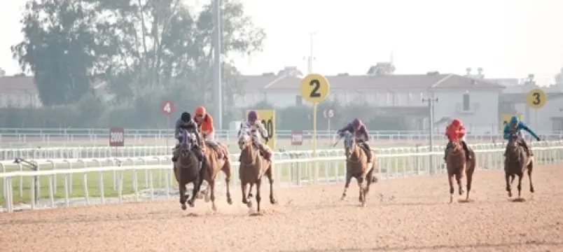 ADANA TAHMİNLERİM - 28 MART