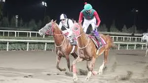 ŞANLIURFA ŞABLONUM - 29 MART