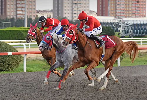 İSTANBUL TAHMİNLERİM - 25 MART