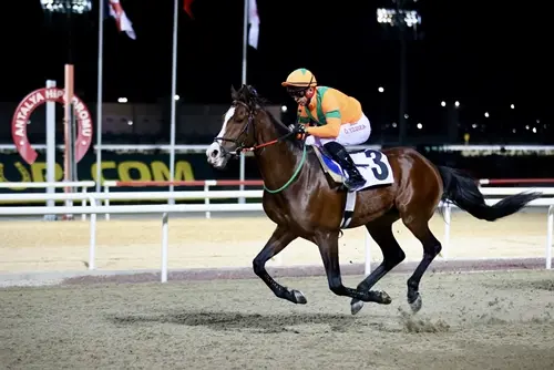 ANTALYA TAHMİNLERİM - 24 MART