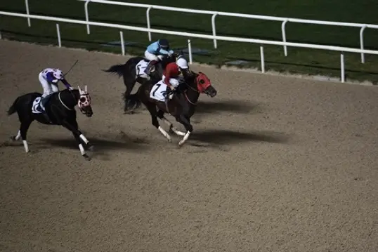 İZMİR TAHMİNLERİM - 27 MART