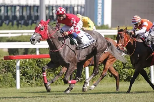 VELİEFENDİ YAZ SEZONU HAYIRLI OLSUN - 15 NİSAN