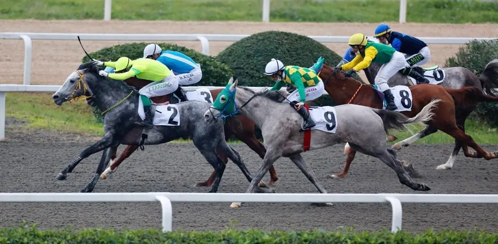 İSTANBUL TAHMİNLERİM - 8 NİSAN