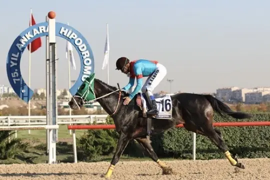 ANKARA TAHMİNLERİM - 16 NİSAN