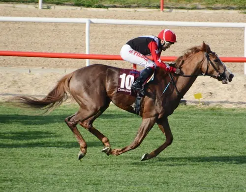 BURSA TAHMİNLERİM - 24 NİSAN