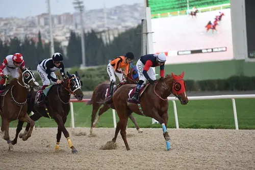 İZMİR TAHMİNLERİM - 12 NİSAN