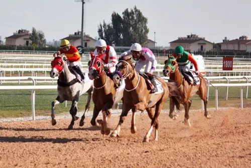 ADANA TAHMİNLERİM - 7 NİSAN