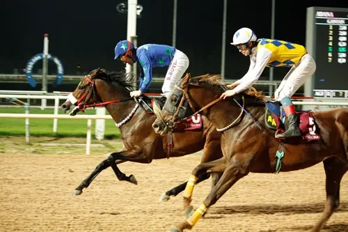 ADANA TAHMİNLERİM - 12 NİSAN