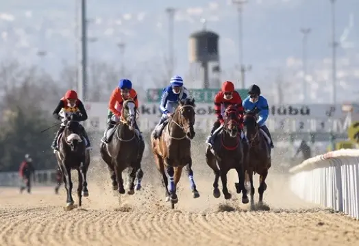 KOCAELİ TAHMİNLERİM - 14 NİSAN