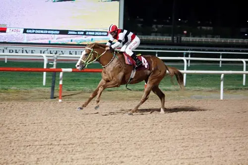 ADANA TAHMİNLERİM - 26 NİSAN