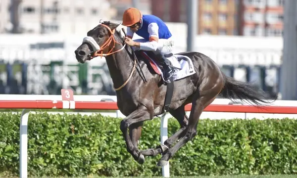 İSTANBUL TAHMİNLERİM - 17 NİSAN