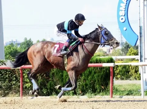 BURSA TAHMİNLERİM - 8 MAYIS