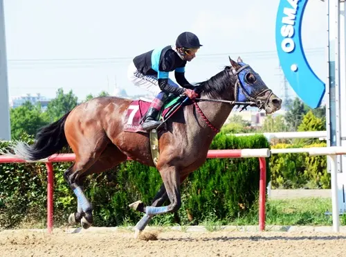 BURSA TAHMİNLERİM - 25 MAYIS