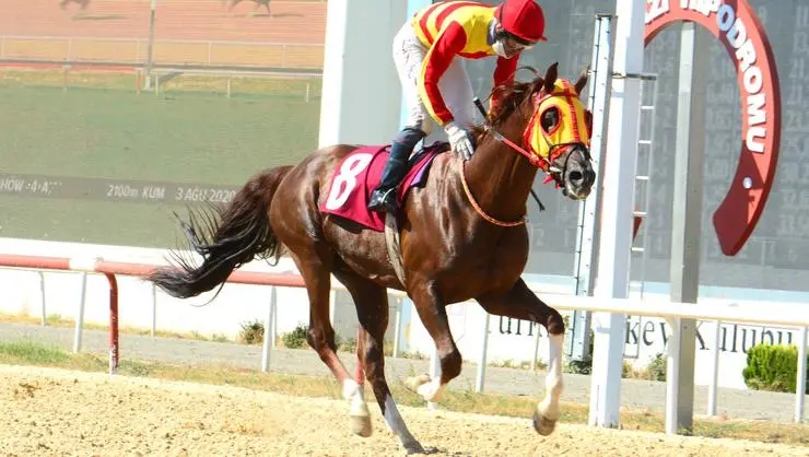 BURSA TAHMİNLERİM - 22 MAYIS