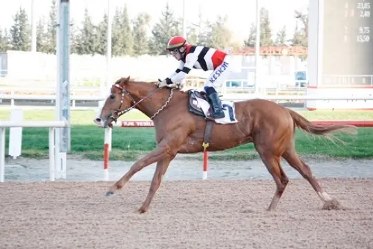 ADANA TAHMİNLERİM - 3 MAYIS