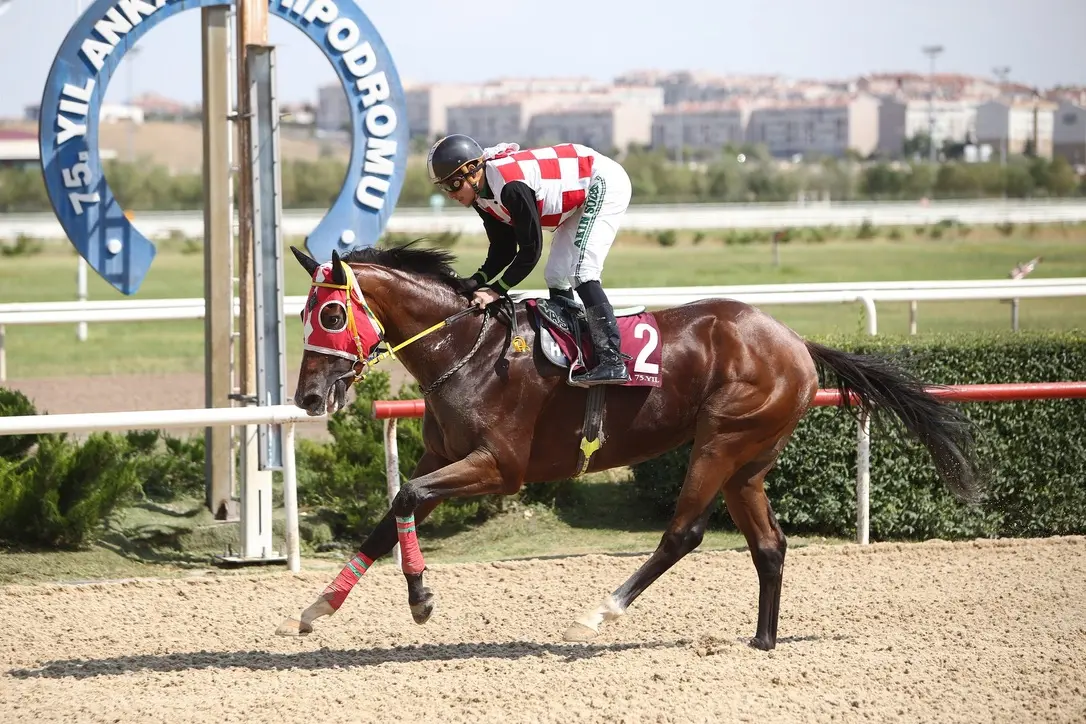 ANKARA TAHMİNLERİM - 23 MAYIS