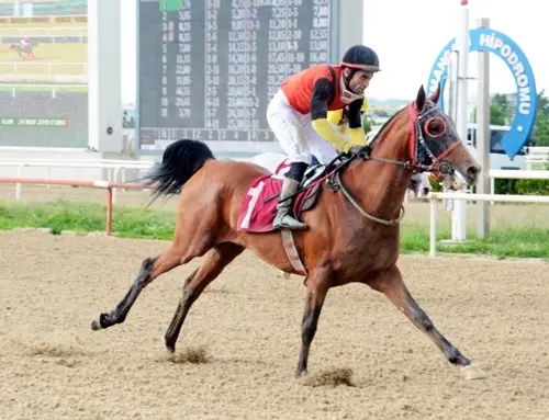 BURSA TAHMİNLERİM - 15 HAZİRAN