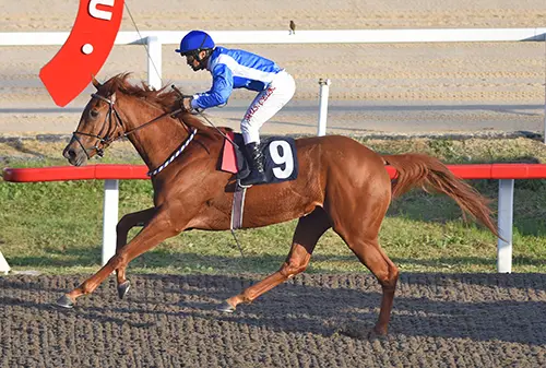 İSTANBUL TAHMİNLERİM - 12 HAZİRAN
